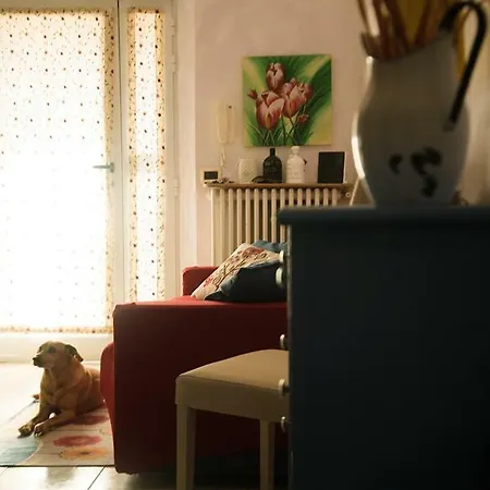 La Casa Di Ortensia 公寓 帕爾馬